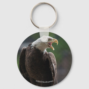 Bald Eagle Calling Key Ring