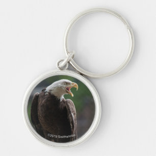 Bald Eagle Calling Key Ring
