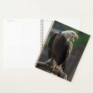 Bald Eagle Calling Planner
