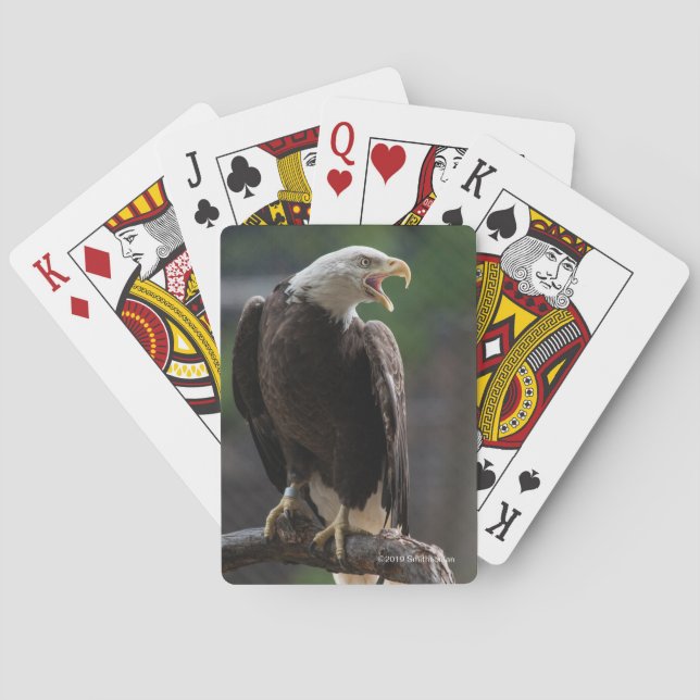 Bald Eagle Calling Playing Cards (Back)
