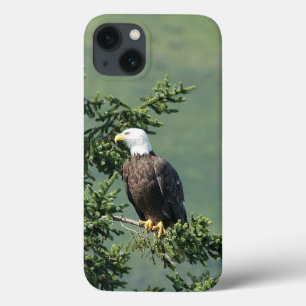 Bald Eagle iPhone 13 Case