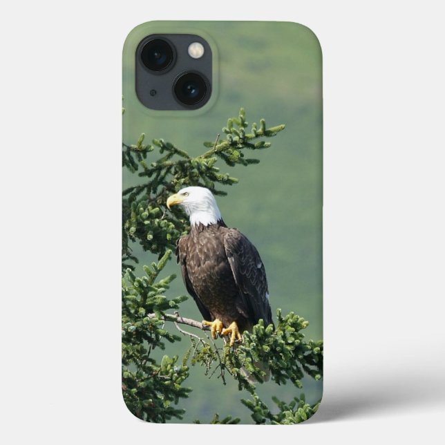Bald Eagle Case-Mate iPhone Case (Back)