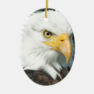 Bald Eagle Ceramic Tree Decoration