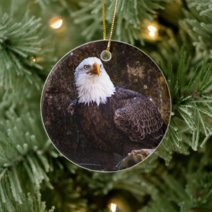 Bald Eagle Ceramic Tree Decoration