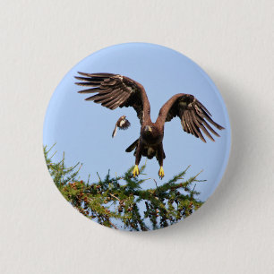 Bald Eagle Chased by a mockingbird 6 Cm Round Badge