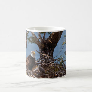 Bald Eagle Chicks - Mug