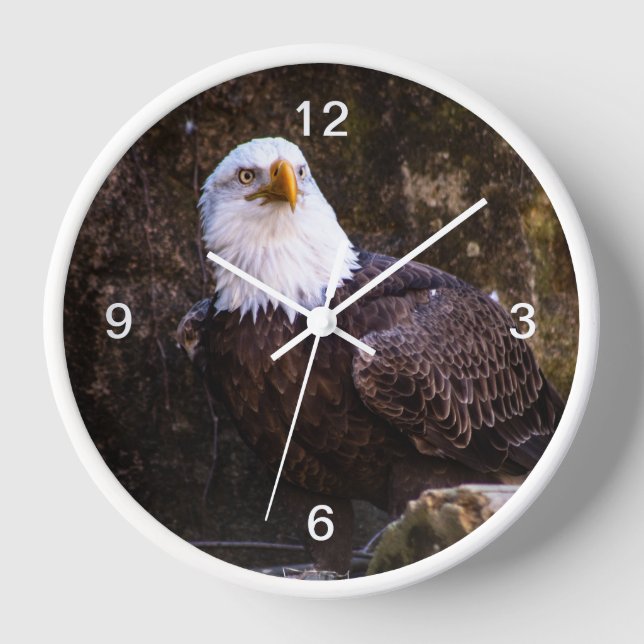 Bald Eagle Clock (Front)