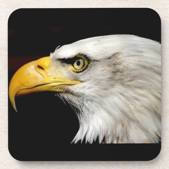 Bald Eagle Coaster (Front)