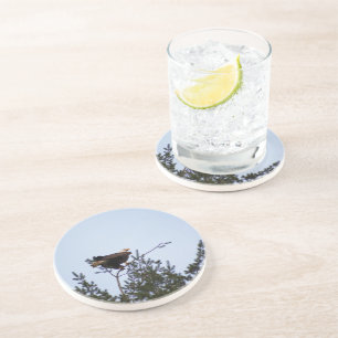 Bald Eagle Coaster