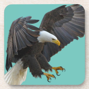 Bald eagle coaster