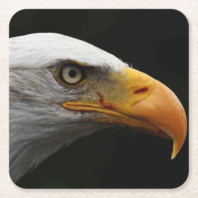 Bald Eagle coastercnm Square Paper Coaster (Front)