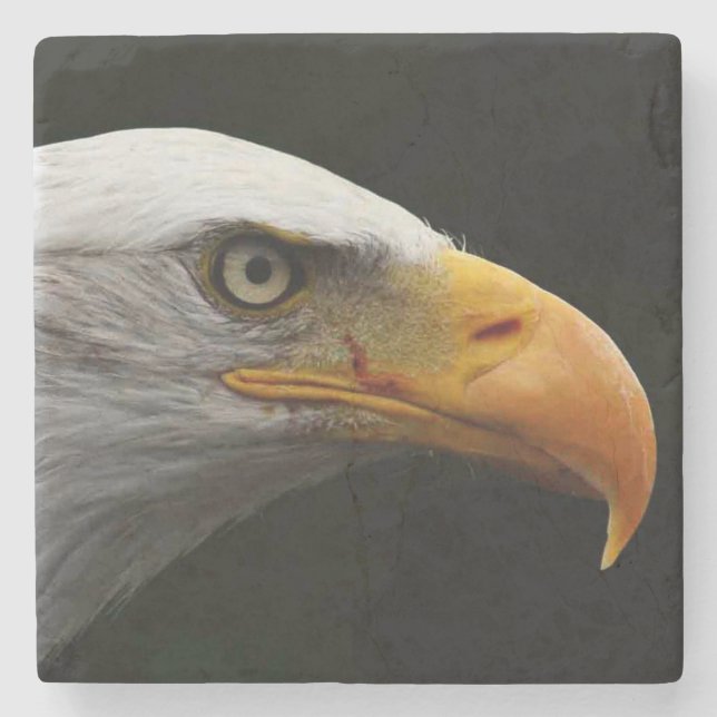 Bald Eagle coastercnm Stone Coaster (Front)