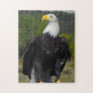 Bald Eagle Colorado. Jigsaw Puzzle