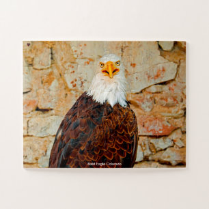 Bald Eagle Colorado Jigsaw Puzzle