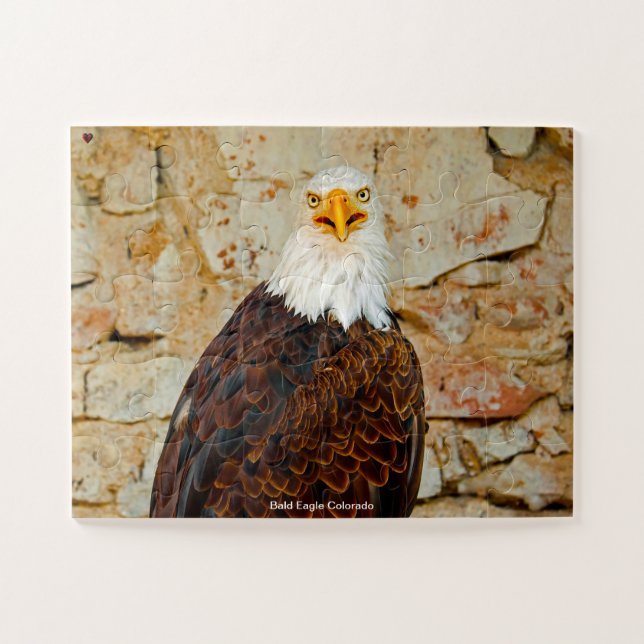Bald Eagle Colorado Jigsaw Puzzle (Horizontal)