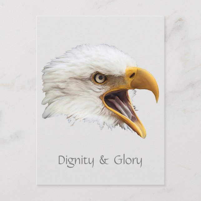 Bald Eagle Dignity & Glory customisable Postcard (Front)
