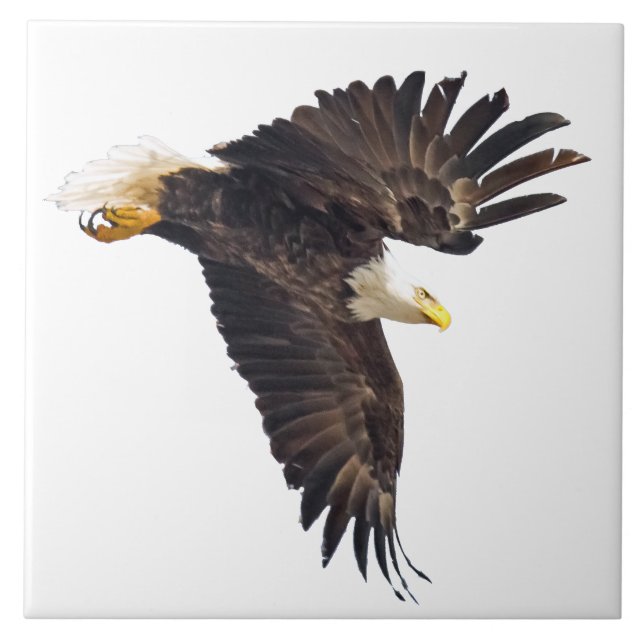 Bald Eagle Dive with white backround Tile (Front)