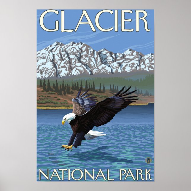 Bald Eagle Diving - Glacier National Park, MT Poster (Front)