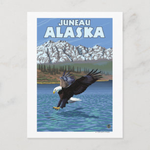 Bald Eagle Diving - Juneau, Alaska Postcard