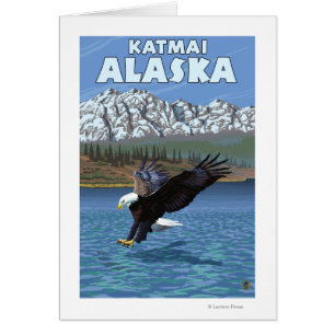 Bald Eagle Diving - Katmai, Alaska