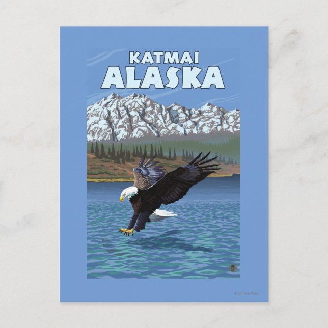 Bald Eagle Diving - Katmai, Alaska Postcard (Front)