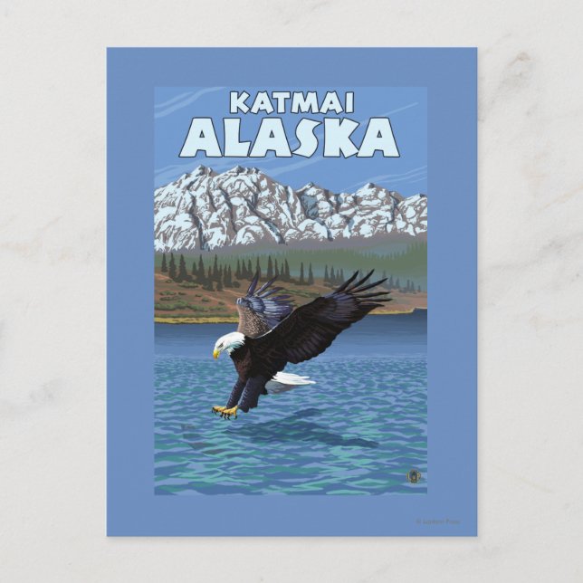 Bald Eagle Diving - Katmai, Alaska Postcard (Front)