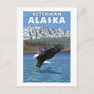 Bald Eagle Diving - Ketchikan, Alaska Postcard