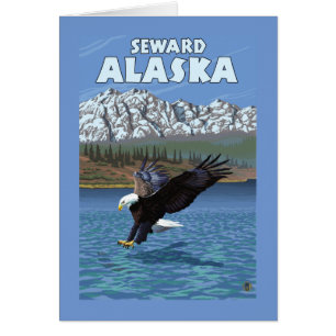 Bald Eagle Diving - Seward, Alaska