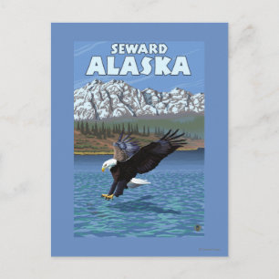 Bald Eagle Diving - Seward, Alaska Postcard