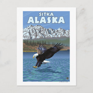 Bald Eagle Diving - Sitka, Alaska Postcard