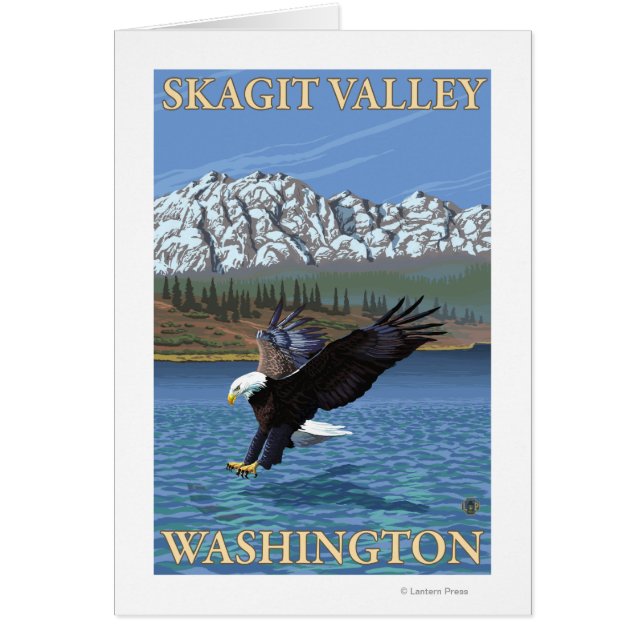 Bald Eagle Diving - Skagit Valley, Washington (Front)