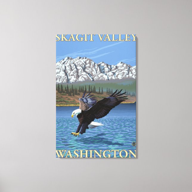 Bald Eagle Diving - Skagit Valley, Washington Canvas Print (Front)
