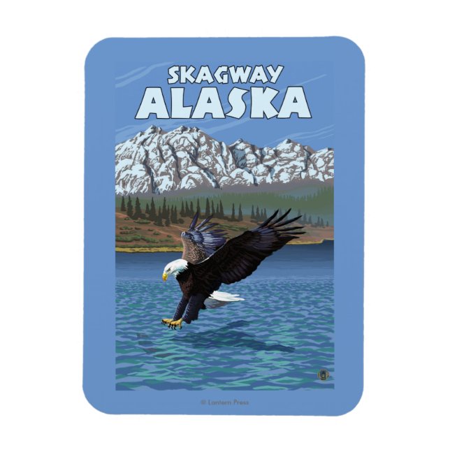 Bald Eagle Diving - Skagway, Alaska Magnet (Vertical)