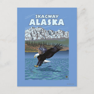 Bald Eagle Diving - Skagway, Alaska Postcard