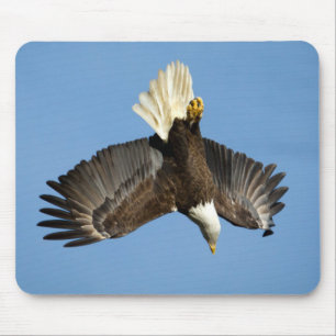 Bald Eagle diving towards the water Mouse Mat