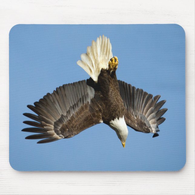 Bald Eagle diving towards the water Mouse Mat (Front)