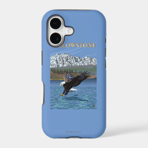 Bald Eagle Diving - West Yellowstone, MT