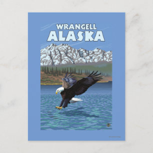 Bald Eagle Diving - Wrangell, Alaska Postcard