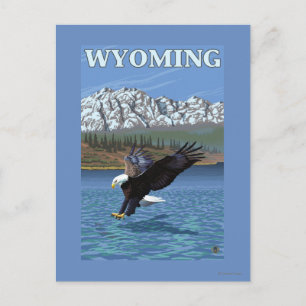 Bald Eagle Diving - Wyoming Postcard