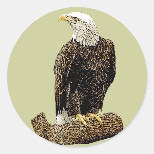 Bald Eagle Drawing Classic Round Sticker (Front)
