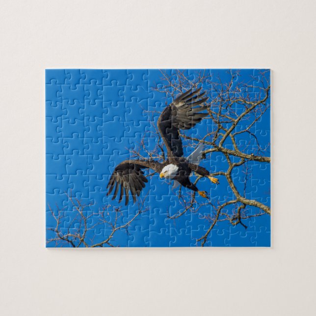 Bald Eagle Drop Jigsaw Puzzle (Horizontal)