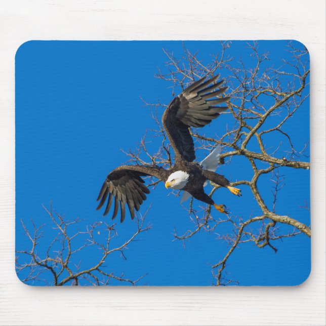 Bald Eagle Drop Mouse Mat (Front)