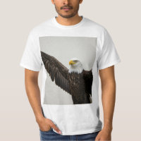 Bald Eagle Emblem