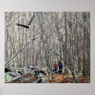 Bald Eagle Encounter Poster