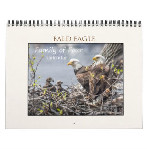 Bald Eagle Family of Four Calendar