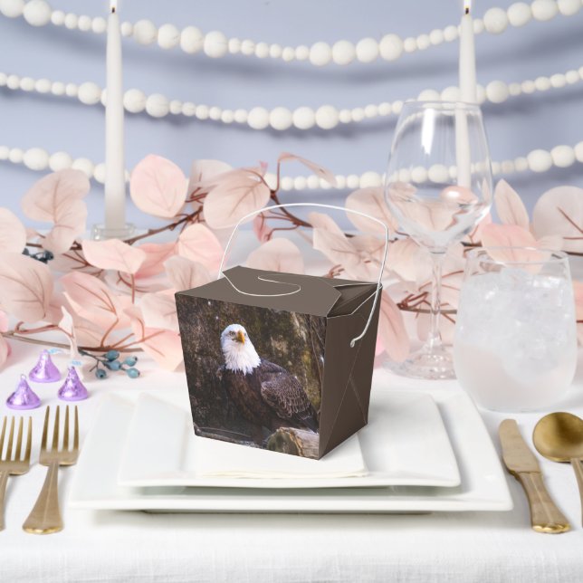 Bald Eagle Favour Box (Wedding)