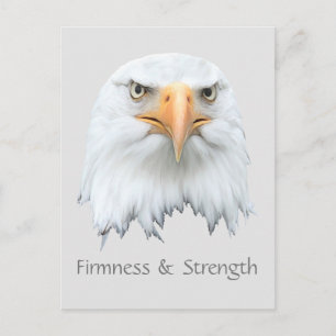 Bald Eagle Firmness & Strength customisable Postcard