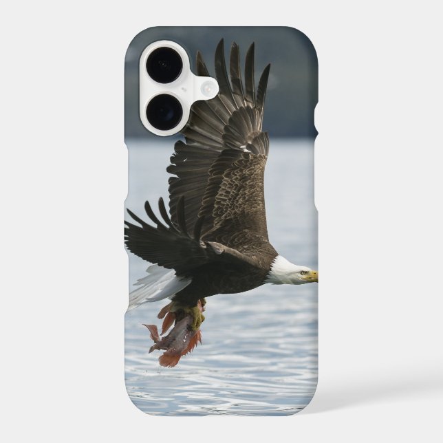 Bald Eagle Fish Retrieval (Back)