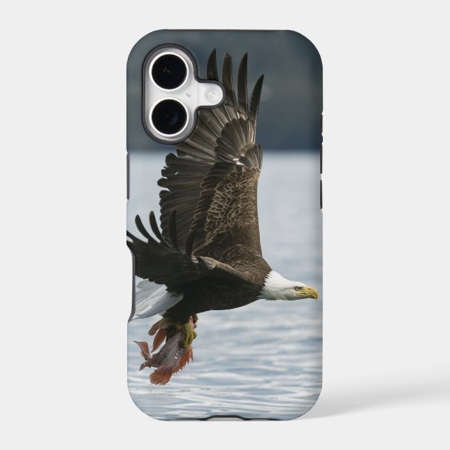 Bald Eagle Fish Retrieval (Back)