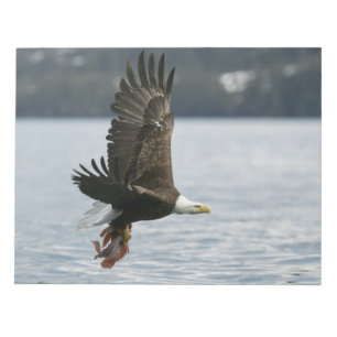 Bald Eagle Fish Retrieval Notepad